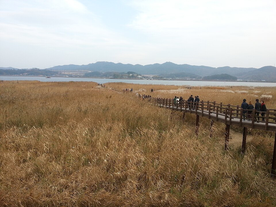 서천 신성리 갈대밭 — 서천 검정고시 과외