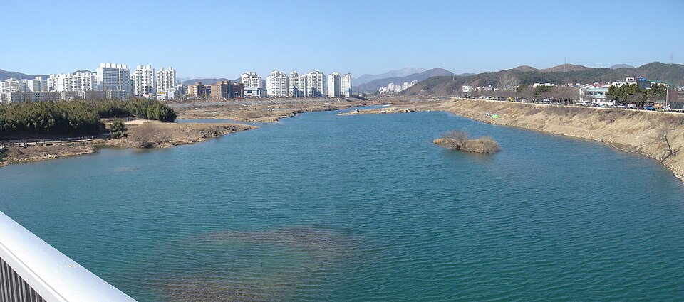 울산 태화강 둔치와 도심 전경 — 울산 남구 검정고시 과외
